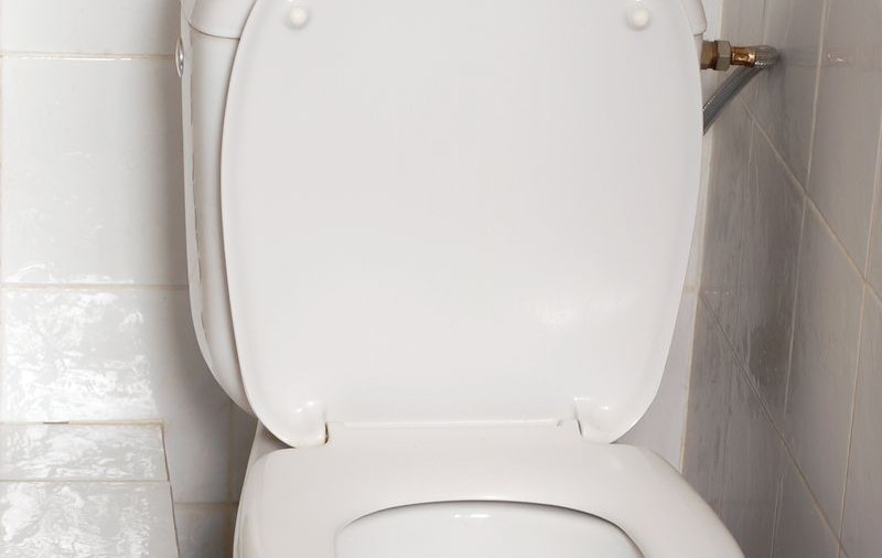 Colacul de wc folosit de soţia prinţului Charles, scos la licitaţie