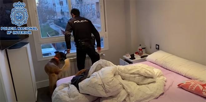 Locuința unuia dintre românii arestați a fost percheziționată de poliția spaniolă. Foto: Captură video Poliția Spaniolă