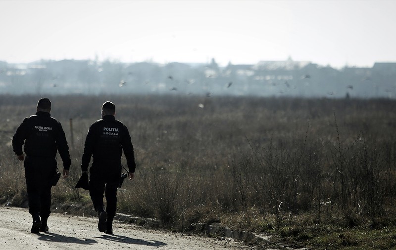 ANALIZĂ. De ce încă avem haite de câini maidanezi în București? Care sunt soluțiile și cum trebuie să se împartă responsabilitățile între autorități și public
