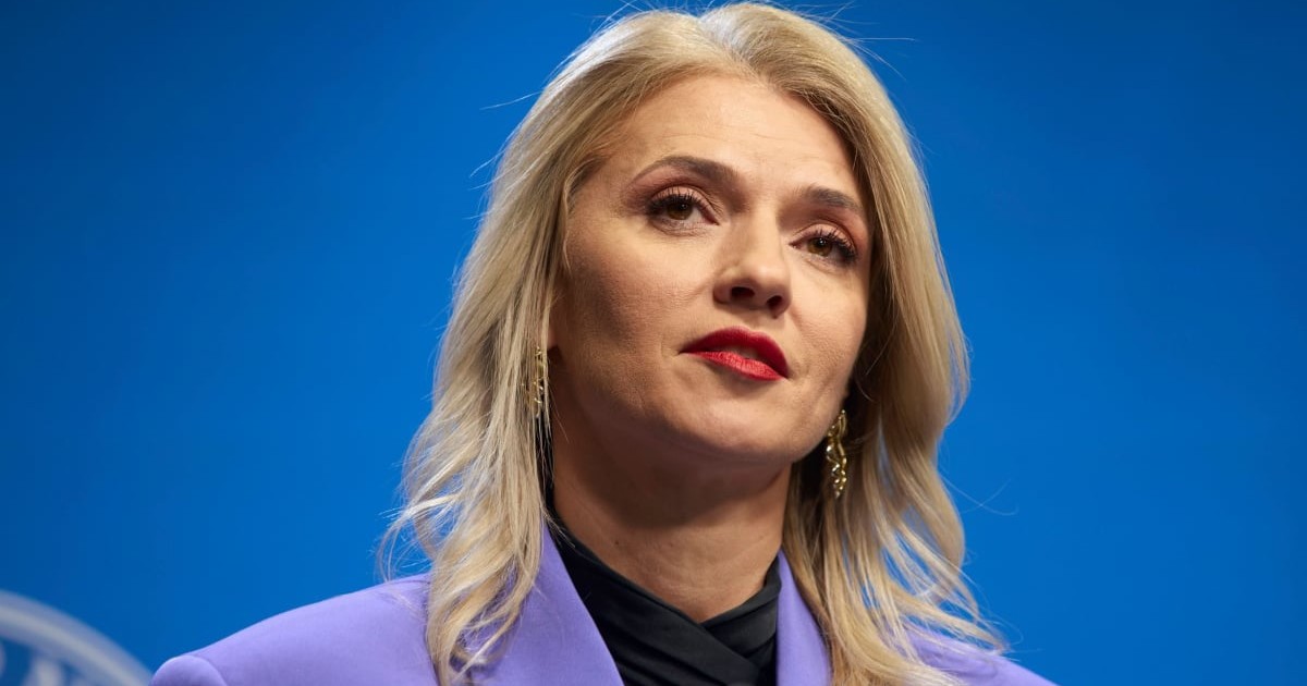 Alina Gorghiu, în timpul unui discurs susținut în Guvernul României