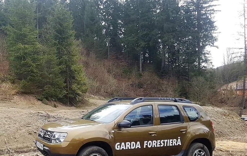 Garda Forestieră Suceava anunță nereguli în pădurea unde au fost bătuți cei doi jurnaliști