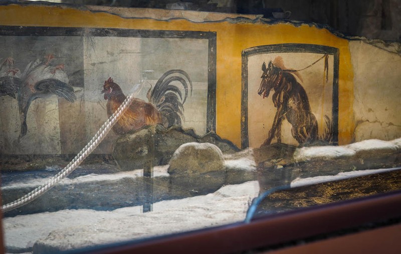 Cum arăta un snack bar din orașul antic Pompeii. Va fi deschis în curând pentru turiști