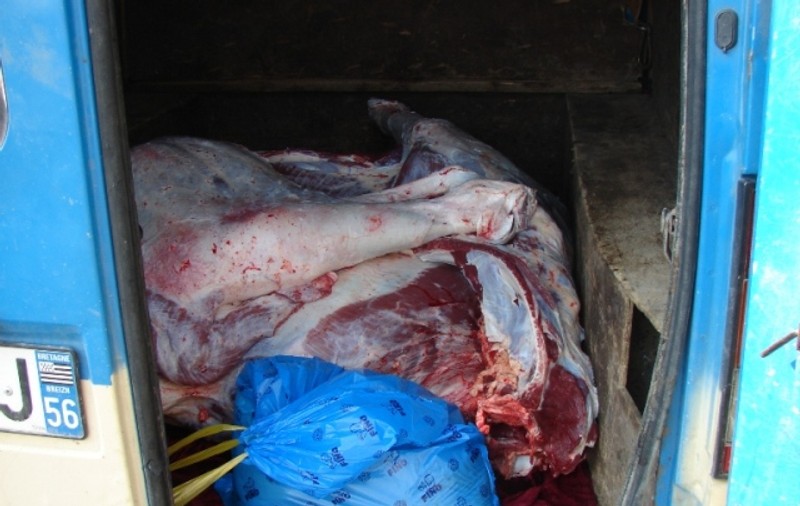 Şi-a burduşit maşina cu sute de kilograme de vită de contrabandă