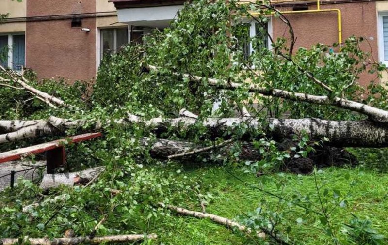 Bilanţul furtunii din Harghita: mii de oameni din zeci de localități, fără curent electric, un panou publicitar a căzut peste un bărbat