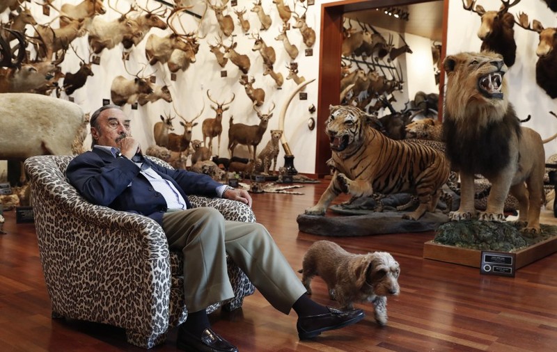 Arca lui Noe împăiată în casa unui spaniol. Un milionar a vânat 420 de specii de animale
