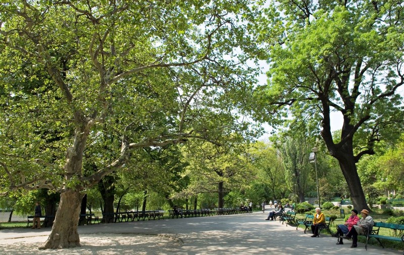 Țânțarii din Parcul Cișmigiu, „vânați” cu drone încărcate cu insecticide. Primăria Municipiului București: „Ajung în zone greu accesibile sau întinse” | VIDEO