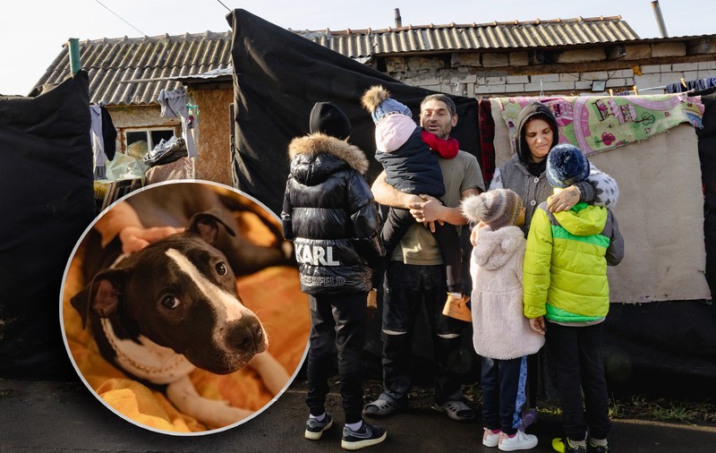 Lecția de omenie și de speranță dată de doi soți din Constanța care ajută o familie cu patru copii: „Aveau doar două jucării”