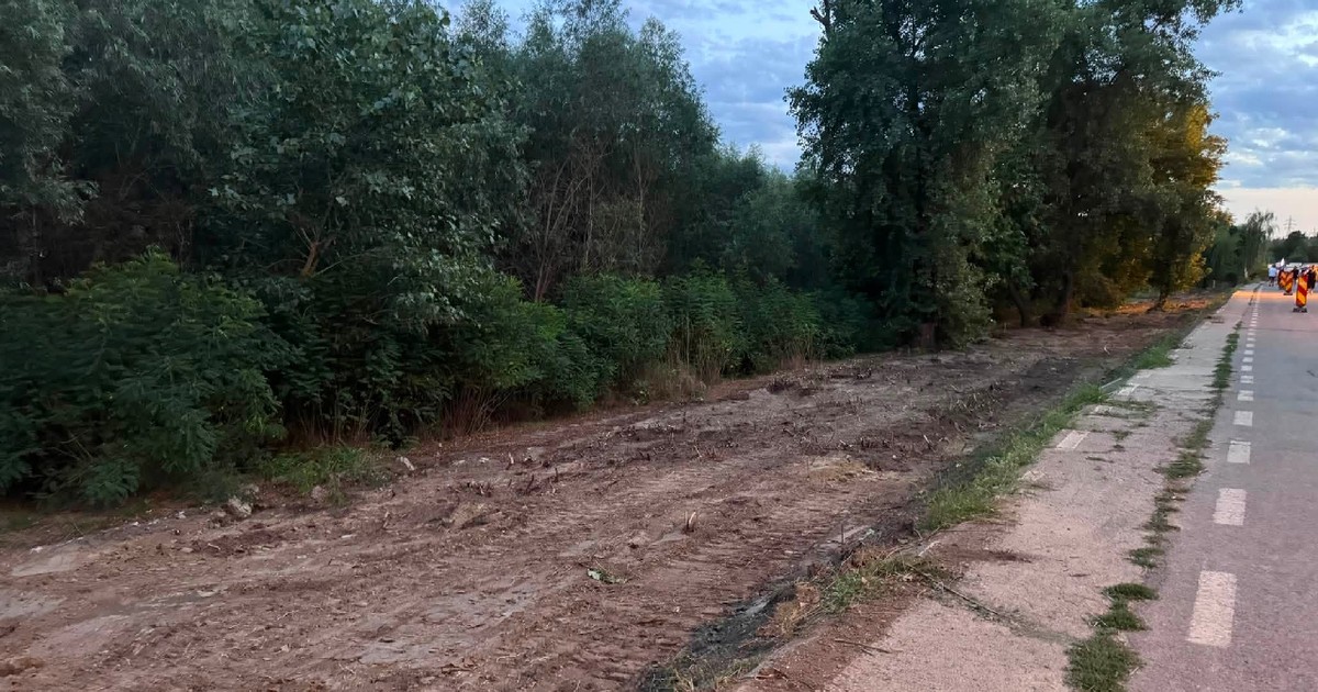porțiunea de pe faleza Dunării din Galați de unde arborii au fost tăiați