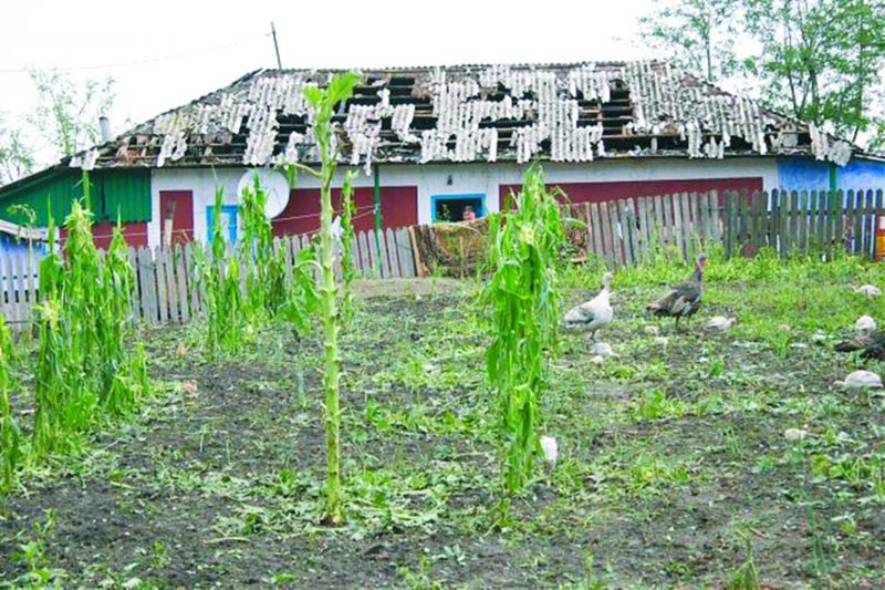 Arhiva foto