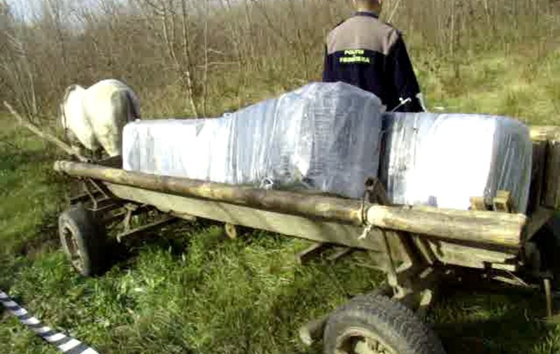 Ţigări de contrabandă în valoare de zeci de mii de lei, ascunse în căruţă