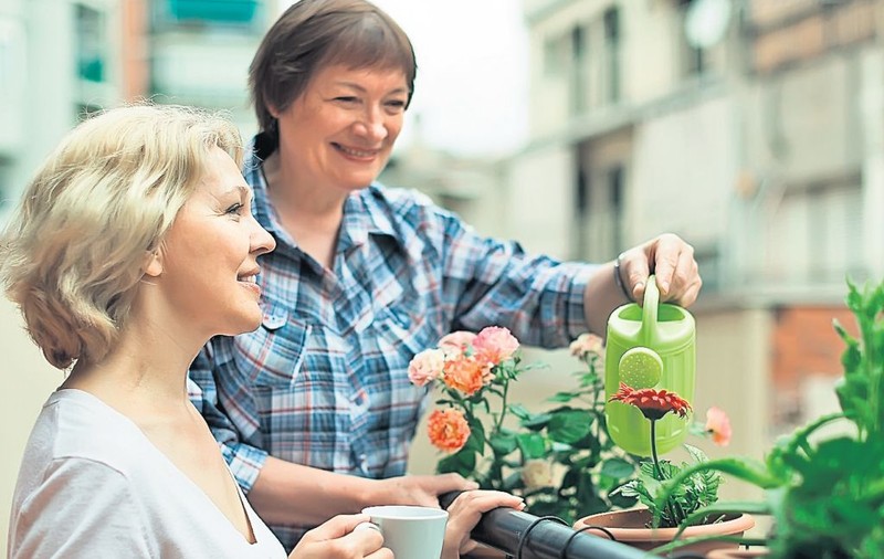 Pregătiri de toamnă, pe balcon. Ce aşteaptă plantele de la tine, ca să le meargă bine
