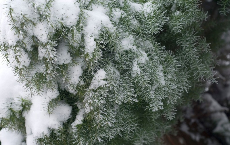 Cum va fi vremea mâine. Prognoza meteo pentru duminică, 15 decembrie