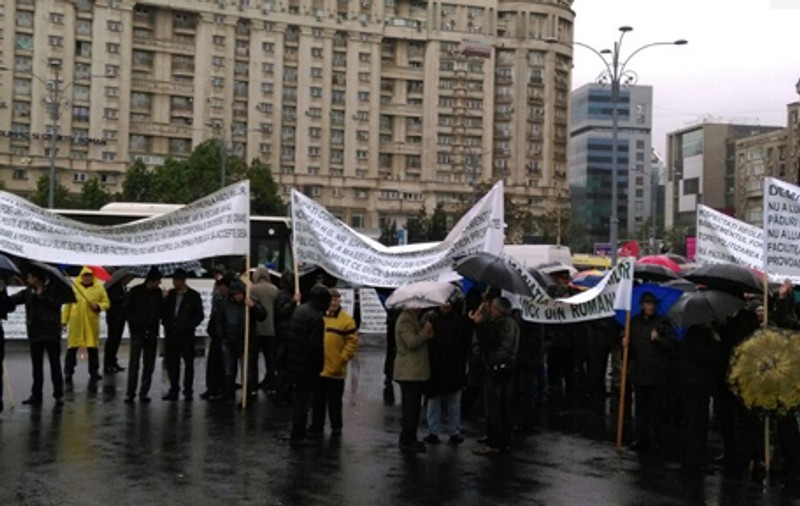 Sute de pădurari au protestat în Piața Victoriei! Îi cer lui Cioloș demisii în Ministerul Mediului