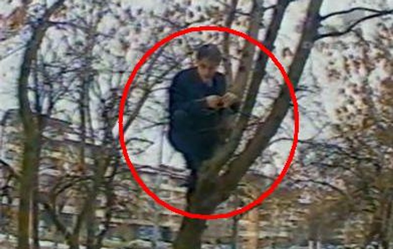 Video | Vă amintiţi cum se suia Badea în copaci în direct la matinal?