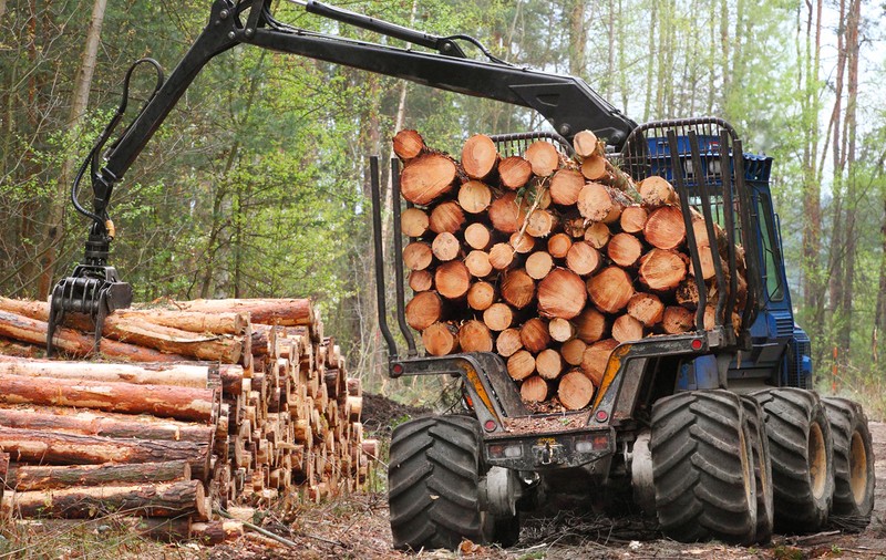 Propunere legislativă: Interzicerea exportului de lemne de foc, pe următorii trei ani