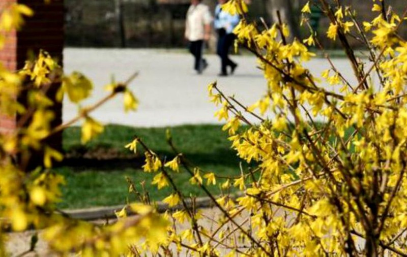 Prognoza meteo | Cum va fi vremea sâmbătă, 23 martie. Valori termice mai ridicate în București și țară