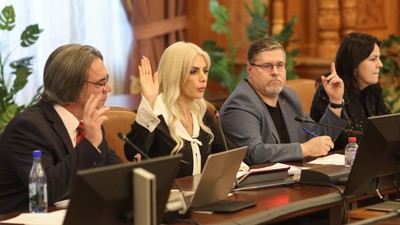 Laura Vicol la Comisia juridică FOTO Sabin Cîrstoveanu / Inquam Photos