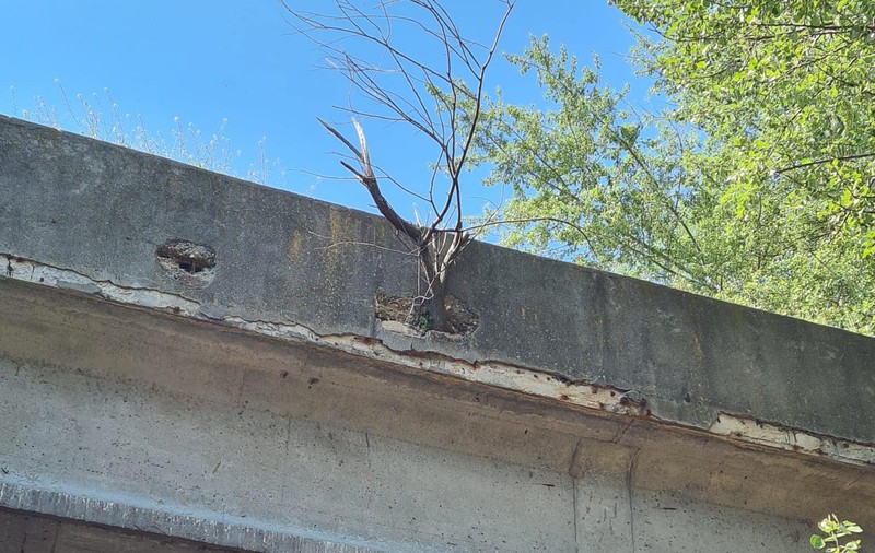 Podul din Parcul Tineretului din București intră în reparaţii. Circulaţia pietonală, închisă temporar