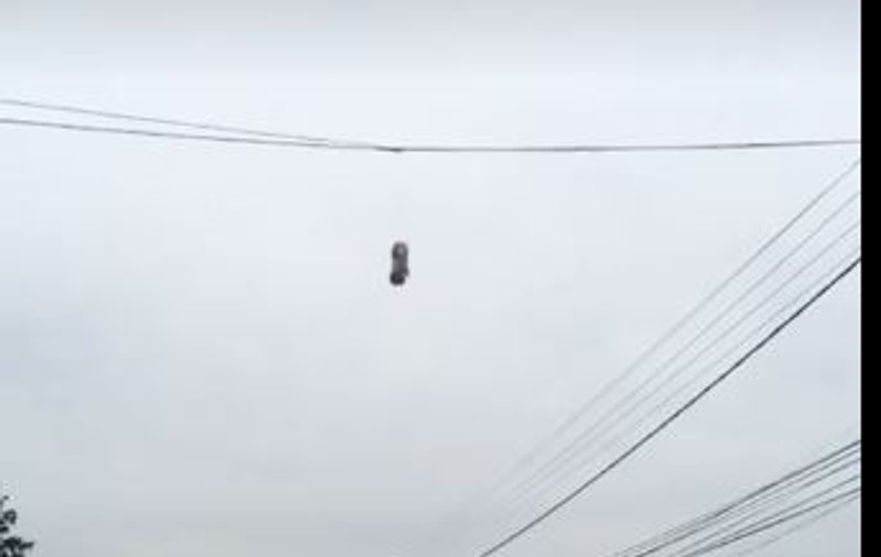 VIDEO| Câine atârnat de cablurile electrice pe o stradă din Prahova. Autorul, un copil de 10 ani