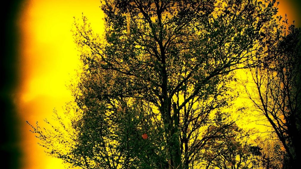 Arhiva foto