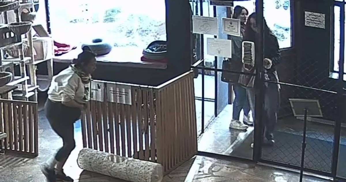 Captura video de pe o camera de supraveghere dintr-o cafenea cu o femeie care ascunde ceva intr-un hanorac deschis la culoare si incearca sa fuga, mai multe persoane intra in cafenea