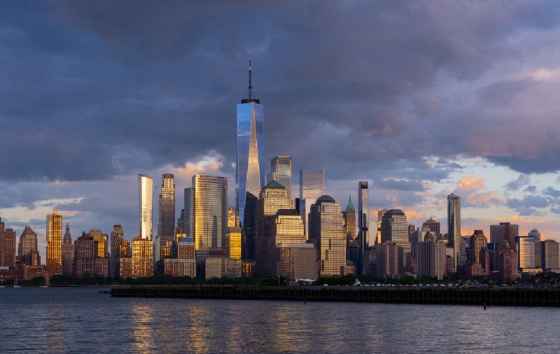 O româncă își pune casa din New York la dispoziție celor care au grijă de pisica ei: „E un pic dificilă la început”