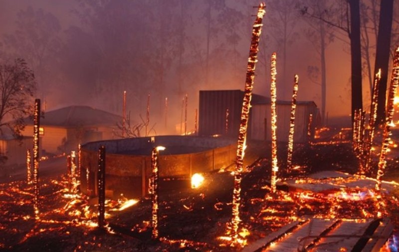 Trei oameni au murit în incendiile de vegetație care au curprins Australia. Și o rezervație de urși koala a fost distrusă. Au pierit sute de exemplare