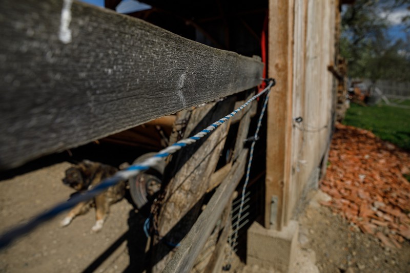 Gard electric pe care un localnic l-a pus în jurul gospodăriei