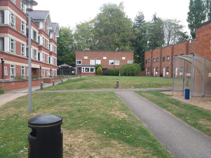 Universitatea Cambridge s-a golit din cauza pandemiei de coronavirus