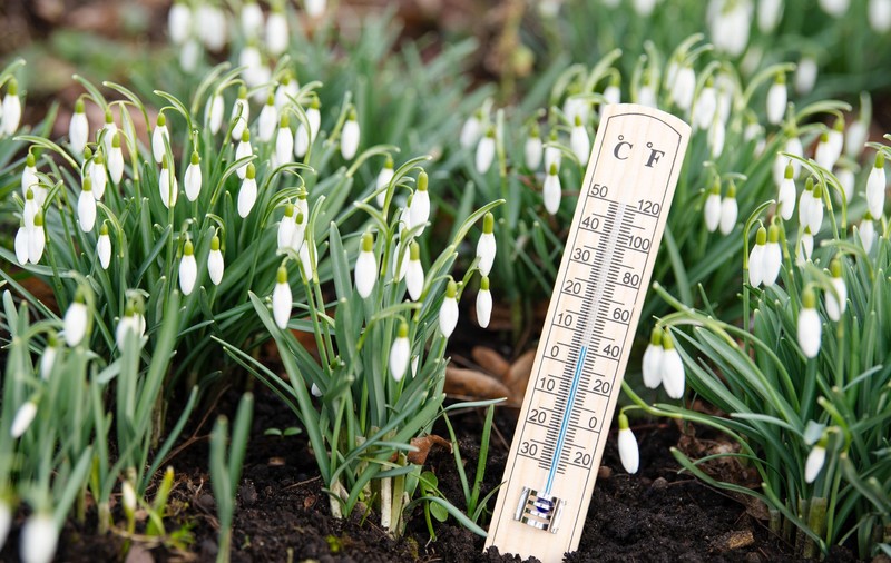 Cum va fi vremea mâine. Prognoza meteo pentru marți, 4 martie 2025