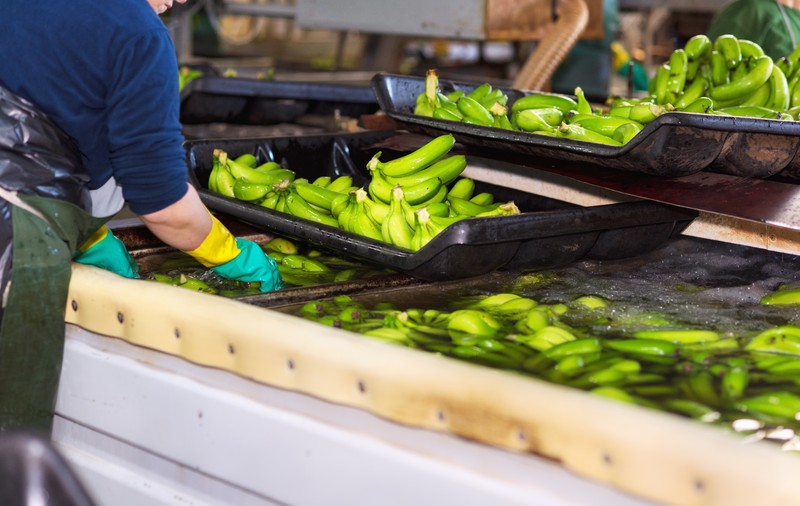 România, exportator de banane, mandarine, nuci de cocos și kiwi. Trimiterile externe de fructe exotice ale României au scăzut de cinci ori într-un an