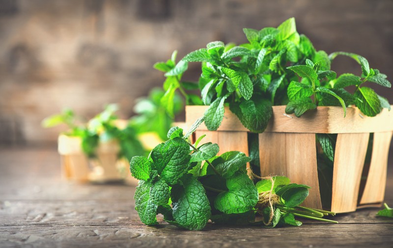 Mentă - beneficii și proprietăți. De ce este recomandat să consumi izmă bună