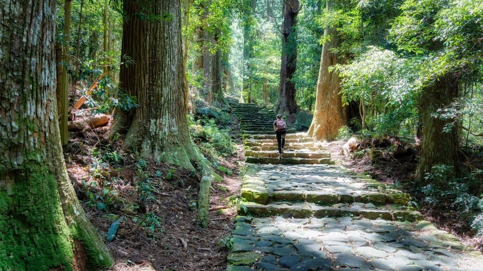 Japonia a inaugurat cel mai lung traseu turistic de tip circuit din țară, care are peste 300 km lungime și face legătura între șase orașe. Sursă foto: Shutterstock