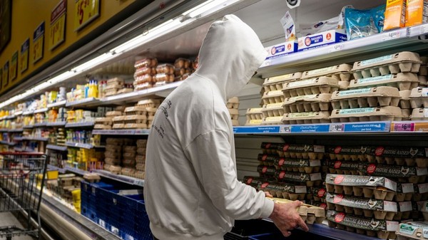 Marea Britanie a ordonat retragerea de la vânzare a unor loturi de ouă importate din Ucraina, după ce testele au depistat bacteria Salmonella Enteritidis legată de zeci de cazuri de îmbolnăvire. Foto: Getty Images