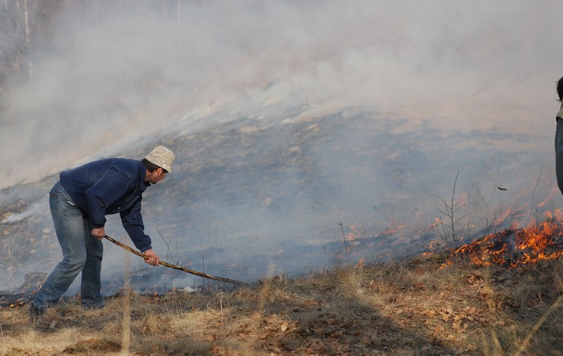 A crescut numărul incendiilor de vegetație în toată țara. Agronomii avertizează: solul nu devine mai fertil, „când arzi un pământ, îl distrugi”