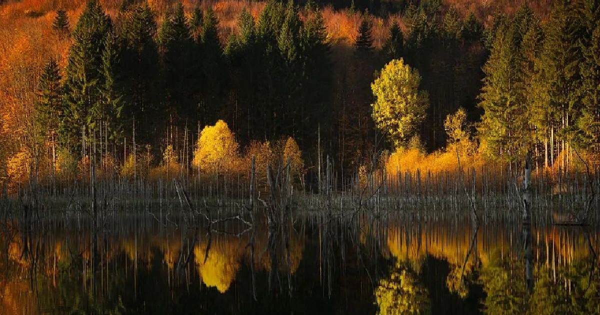 Peisaj de toamnă, lacul Cuejdel, România