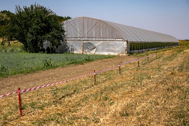 Locul unde ministrul muncii german ar fi trebuit să se vadă cu sezonierii din Câmpurelu