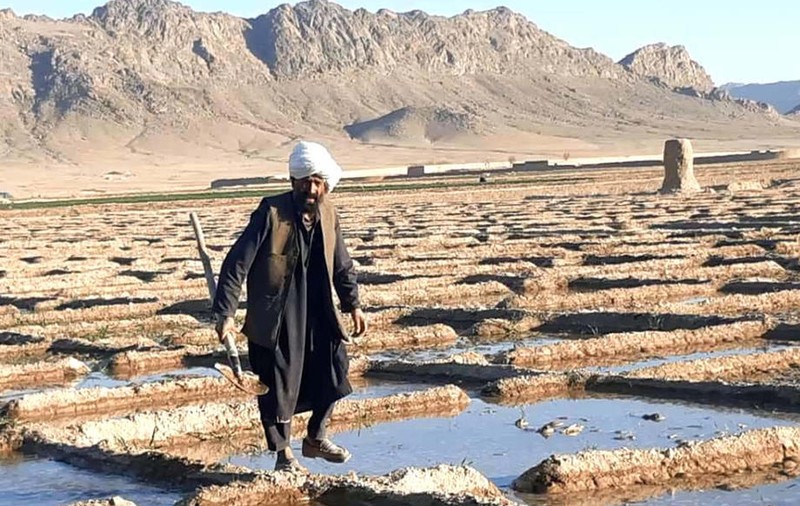 Afacerea ilegală de miliarde de dolari din Afganistan la care talibanii promit să renunțe. Nimeni nu îi crede