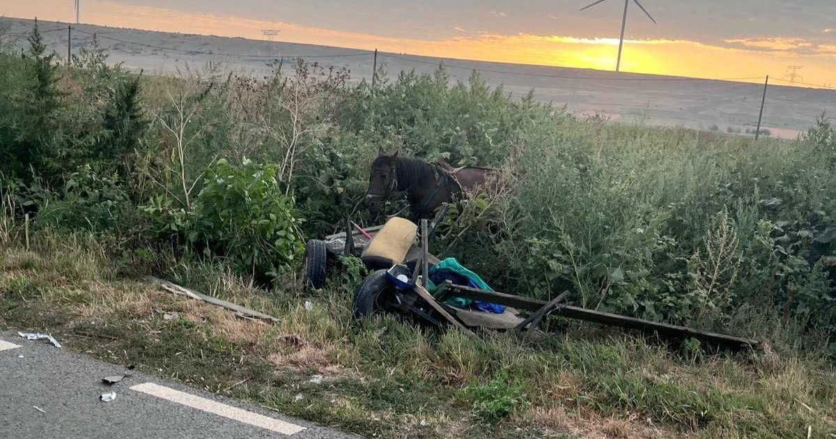 Imagine cu o parte din căruță și cu un cal, după accidentul din județul Galați