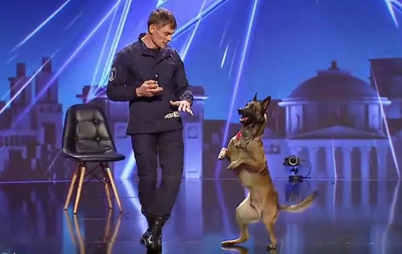 VIDEO | Câinele de frontieră care i-a lăsat fără cuvinte pe jurații Românii au talent