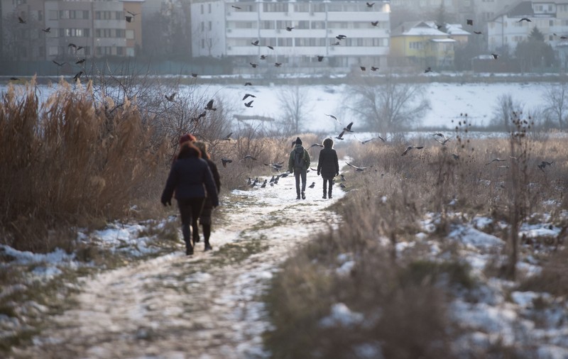 Cum va fi vremea în următoarele două săptămâni. Anunțul făcut de meteorologi