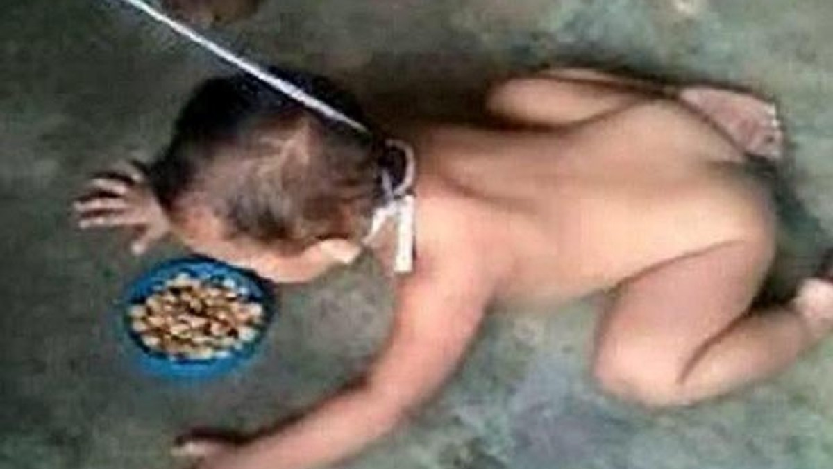 Arhiva foto