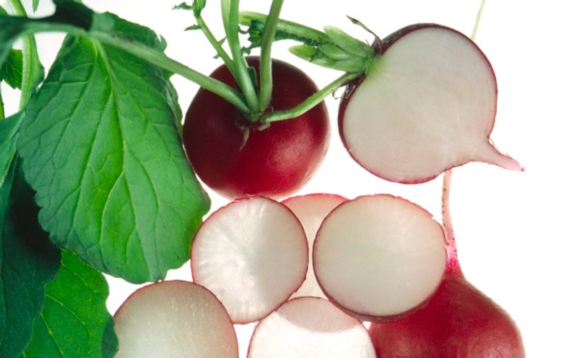 GHIDUL plantelor medicinale