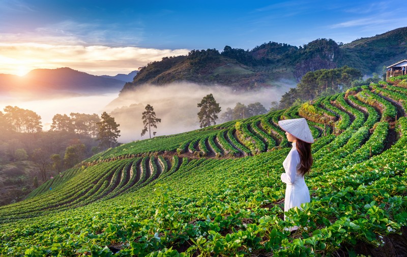 Circuit în Vietnam, Cambodgia și Thailanda: Aventură completă în inima Indochinei
