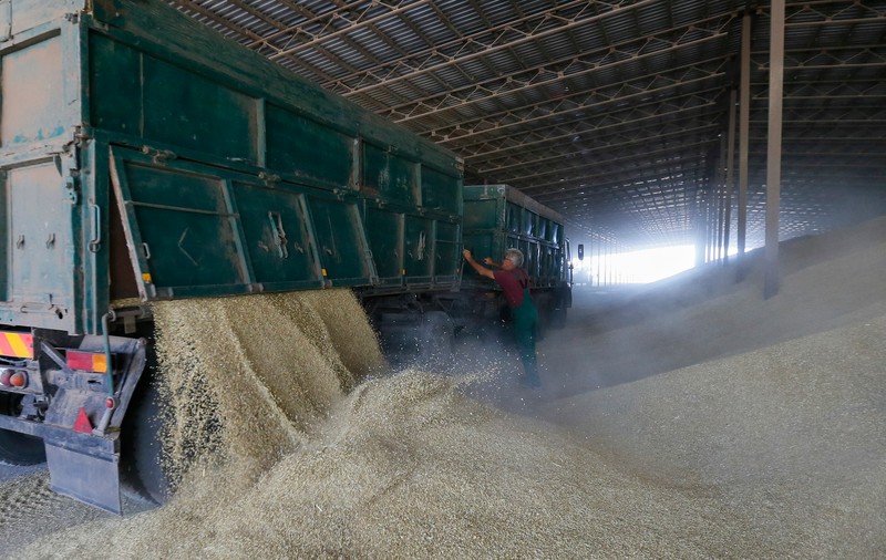 Turcia susține că investighează dacă Rusia a furat cereale din Ucraina