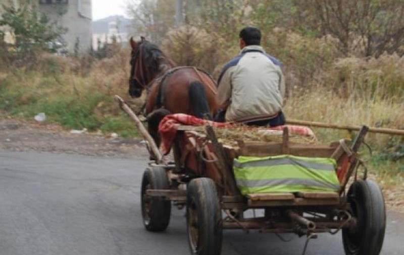 Fetița de doi ani dispărută în județul Satu Mare a fost găsită