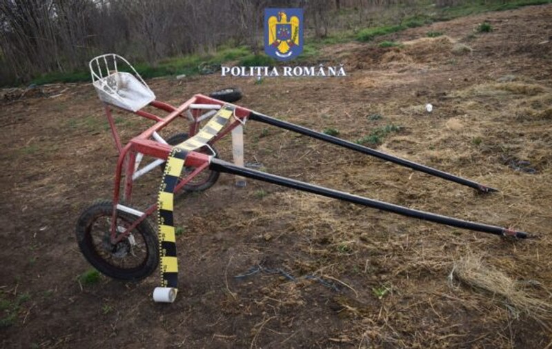 Patru bărbaţi din Olt sunt cercetaţi după ce au organizat şi au participat la curse ilegale de cai pe un drum comunal