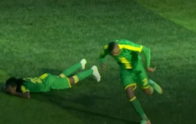 VIDEO | Meci de fotbal, întrerupt de albine în Tanzania. Jucătorii și fanii au fost atacați de insecte