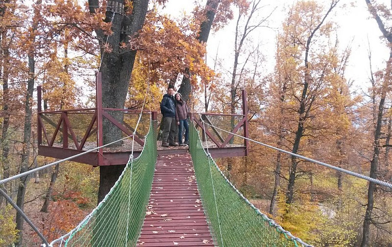 Doi americani au petrecut "luna de miere" la sanctuarul de urşi de la Zărneşti!