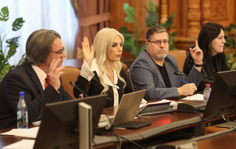 Ce legi a blocat Laura Vicol când era președinta Comisiei Juridice din Camera Deputaților